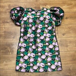 Rooey Tate Pink Tulip Puff Sleeve Dress